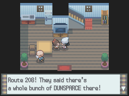 Route 208! They said there's a whole bunch of DUNSPARCE there!