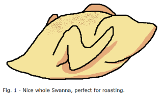 Fig. 1: Nice whole Swanna, perfect for roasting.
